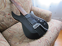 2006 Tyler Ultimate Weapon